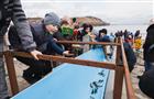 В Самарской области ТОАЗ выпустил в акваторию Волги 12 тысяч мальков сазана и толстолобика