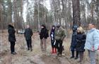 Депутаты Тольятти проинспектировали работу подрядчиков, занимавшихся лесовосстановительными работами