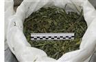 На жителя Клявлинского района заведено дело за хранение более 1 кг марихуаны