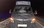 На трассе М-5 у Сызрани пешеход погиб под колесами грузовика