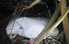 В Богатовском районе пьяная женщина за рулем "Оки" вылетела в кювет и врезалась в дерево
