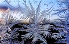 До 5 декабря синоптики прогнозируют в Самарской области аномально холодную погоду