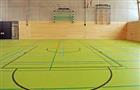 В Саратовских школах планируют ввести занятия по гандболу