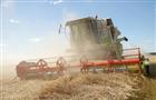 В Кировской области началась уборка зерновых культур