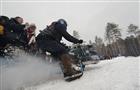 В Тольятти прошел восьмой международный зимний слет байкеров «Сноудогс»