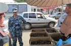В Самарской области пройдет двухмесячная операция "Нерест-2016"