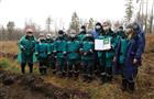 Сотрудники "Тольяттикаучука" высадили 5 тысяч саженцев деревьев в тольяттинском лесу