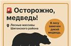 В лесах Самарской области заметили медведя