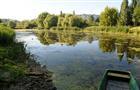 Общественники добиваются придания "Воронежским озерам" статуса особо охраняемой зоны