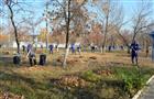 Сотрудники "Транснефть - Приволга" провели экологическую акцию в сквере Новокуйбышевска
