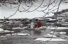 Спасен ребенок, унесенный на льдине на Волге у Жигулевска