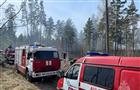 В Тольятти горел 1 гектар леса
