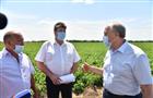 Губернатор Валерий Радаев посетил ряд сельхозпредприятий Энгельсского района