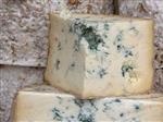 В Самаре уничтожили санкционные сыры из Германии, Италии и Франции