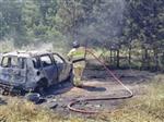 В Шигонском районе у леса горел автомобиль