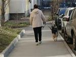 Жителей Самарской области обязали убирать фекалии за своими собаками