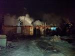 Шесть щенков и семь кошек погибли при ночном пожаре в д. Висловка под Самарой