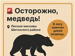 В лесах Самарской области заметили медведя
