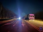 В Челно-Вершинском районе грузовик насмерть сбил двух пешеходов