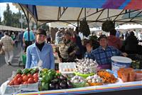 Какие продукты можно купить на главной сельскохозяйственной ярмарке Самары