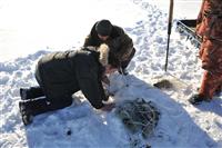 Замерзшие реки Самарской области почистили от браконьерских сетей