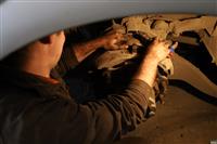 "Лечат" трамваи и троллейбусы: показываем изнанку депо на Фадеева