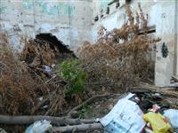 В Самаре стали чаще сгорать заброшенные дома