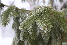 Появился прогноз погоды на новогоднюю ночь в Самаре