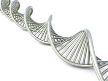 Болезнь в наследство: что ожидать от генов?