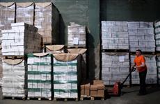 В Самаре рассмотрят дело о хищении офисной бумаги на 24 млн рублей