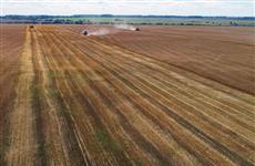 В Марий Эл близится к завершению уборочная кампания