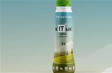 В Татарстане запустят программу поддержки ИТ-компаний "кITык"