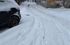 Мэрия планирует взять уборку части дворов Самары на себя