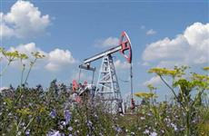 В Самарской области разыграют четыре нефтяных участка на 165 млн рублей