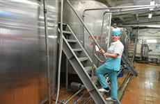 В Тольятти может появиться завод по производству сыра