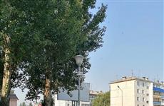 На улицах Чапаевска появился общественный Wi-Fi от "Ростелекома"