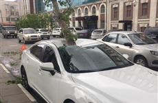 Упавшая ветка дерева пробила крышу Mazda в Самаре