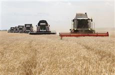 Средняя урожайность в Чувашии превысила прошлые рекорды