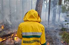 Кировские огнеборцы помогут в борьбе с лесными пожарами в Бурятии