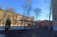В Бардовском сквере Новокуйбышевска начали высаживать сосны