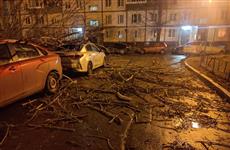В Тольятти упавшие от сильного ветра деревья повредили несколько автомобилей