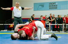 Олег Николаев: "Национальная чувашская борьба стала частью большого спорта России"