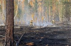 В лесничестве под Самарой 189 человек тушат крупный пожар