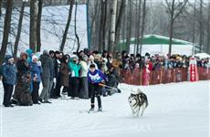 В Самарской области в дни новогодних праздников пройдут спортивные и физкультурные мероприятия: афиша