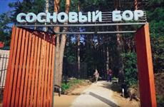 В Лысых Горах непроходимый сосновый бор превратили в зону отдыха