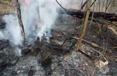 В Тольятти открылся сезон лесных пожаров