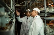 Глава Чувашии Олег Николаев дал старт работе новых птичников агрохолдинга CHUVA