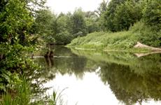 Сохранение лесов и водных объектов, переработка отходов: какие экопроекты реализуют регионы ПФО