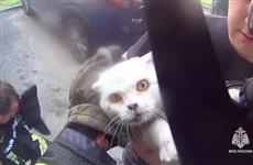 В Чебоксарах сотрудники МЧС спасли жильцов многоэтажки и вернули к жизни кота
