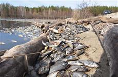 На реках Кировской области на два месяца запретили промышленный лов рыбы